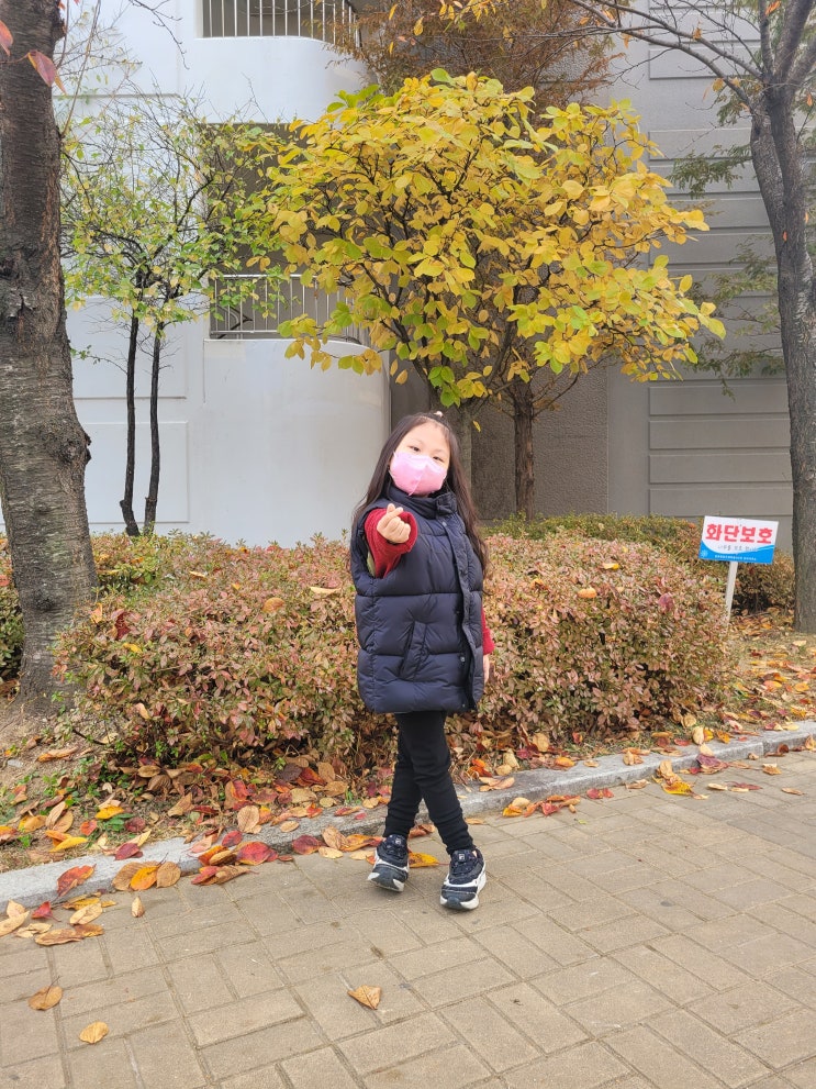  11월 첫 주 나의 주간 일기 가을다운 한주였다.