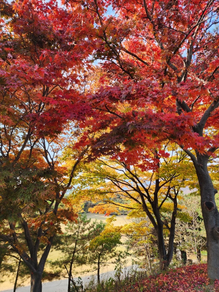  주간일기 저품질로 멘붕 온 한주 잘 이겨내자!