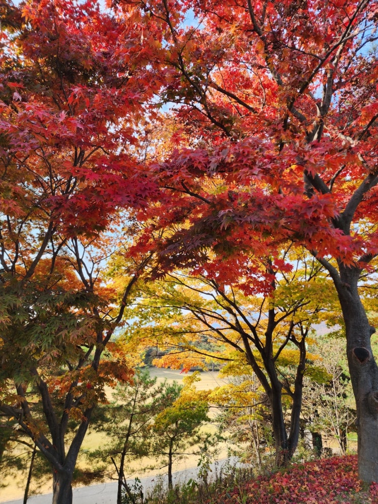 주간일기 저품질로 멘붕 온 한주 잘 이겨내자!