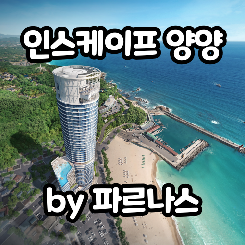  인스케이프 양양 바이 파르나스 생숙 최근 근황