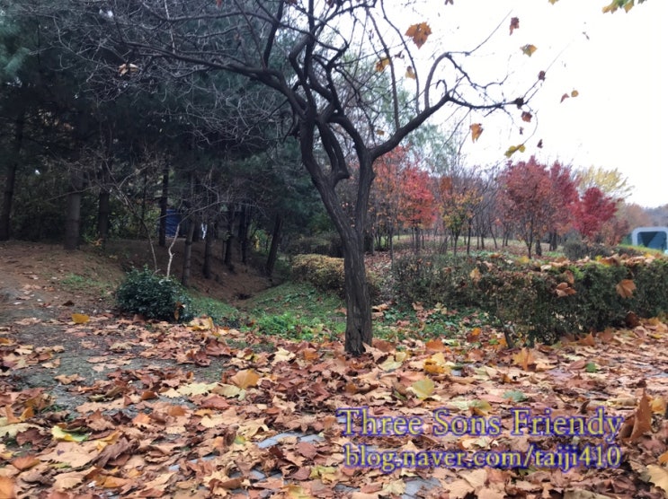  11/7(월)~11/13(일) : 독서의계절 독서결과