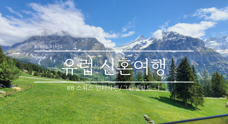  유럽 신혼여행#8 스위스 그린델발트 거점으로 알프스산맥 기차여행 만끽하기! 1일차(인터라켄, 그린델발트, 피르스트)