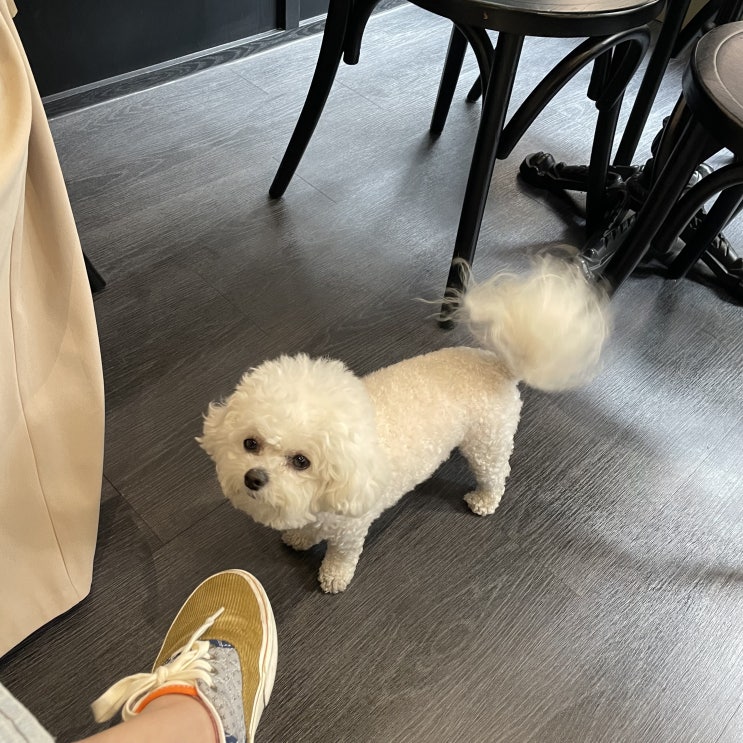  블챌 11월 둘째주