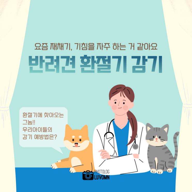  새끼강아지 감기 조심하세요 (ft.환절기에 찾아오는)