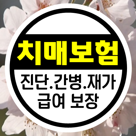  치매간병보험, 진단비와 간병비 뿐 아니라 매월 재가급여 보험 보장까지!