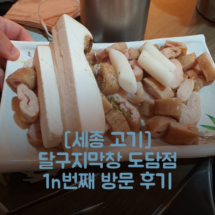 [세종 고기]달구지막창 도담동 1n번째 방문 후기(feat.할인정보)