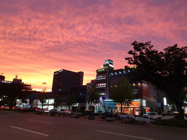 [구미논술학원 비오비학원]2023수능직후 경북대논술/부산대논술 파이널 대비반 개강 안내