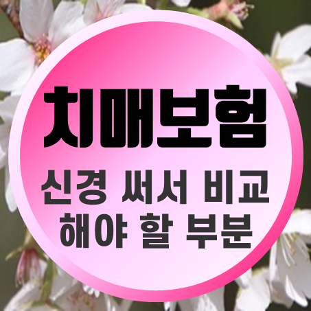  경증치매보험 비교 시 신경 써서 살펴볼 부분들