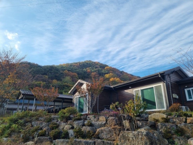 사진 4