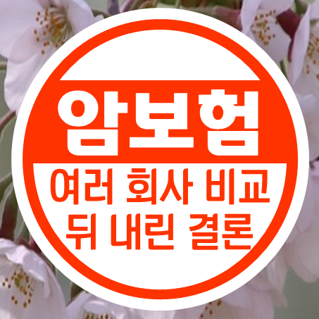  남자암보험 여러 곳 비교해 보고 최종적으로 내린 결론