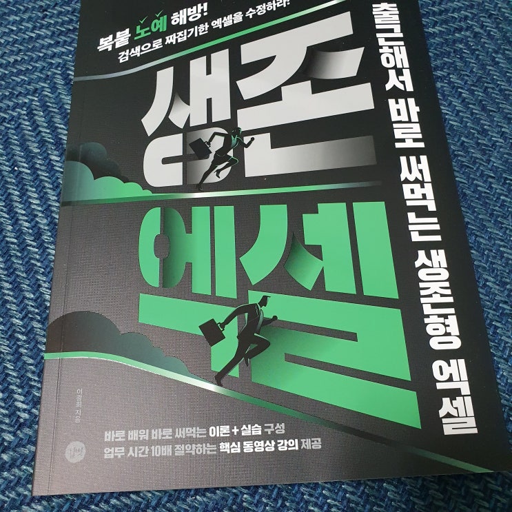  책서평 직장인에게 필요한 엑셀책 생존엑셀 엑셀강의