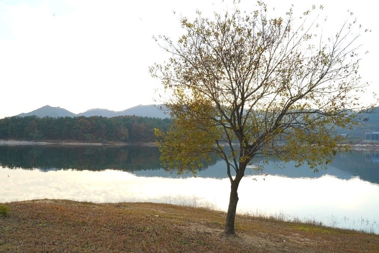 대전 동구 대청호 오백리길 - 명상정원 가을 산책