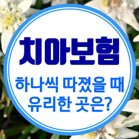  치아보험가입조건 하나씩 따졌을 때 유리한 곳은?