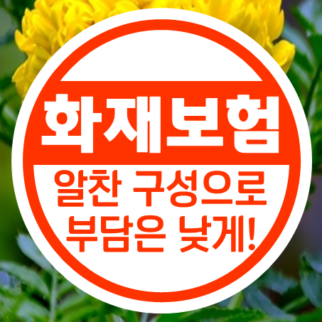  아파트주택화재보험 추천, 구성은 알차게 비용 부담은 낮게!