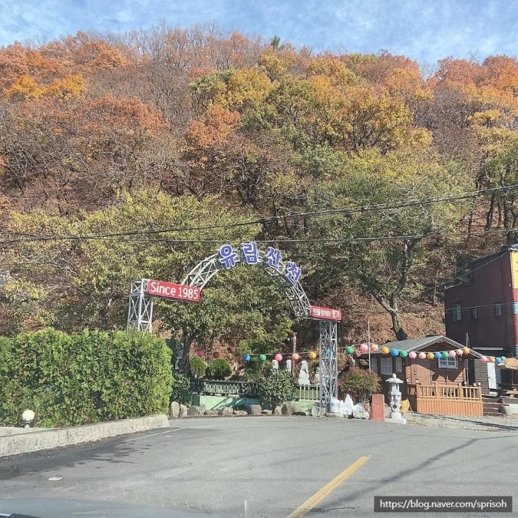  마산 가족모임 추천장소 민물장어구이 장어덮밥 학꽁치회 최애맛집[유림산천]