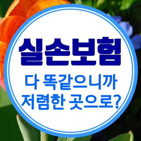  실손보험추천, 다 똑같으니까 가격만 보고 고르라고?
