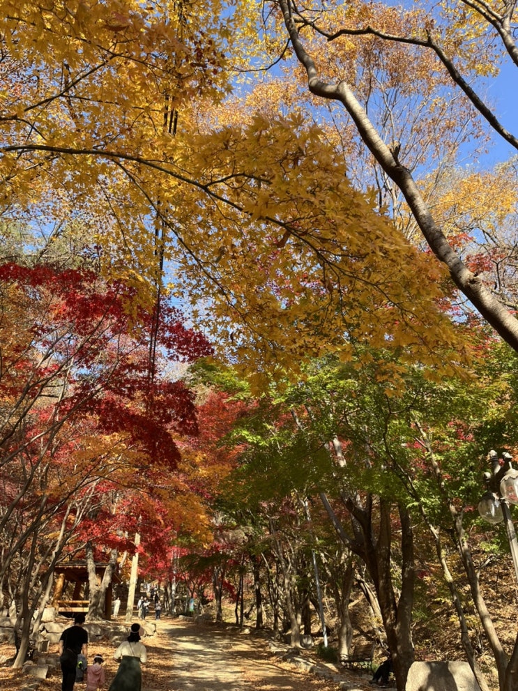  1107-1113 / 부지런과 돼지런 사이... 그치만 돼지런에 가까운...