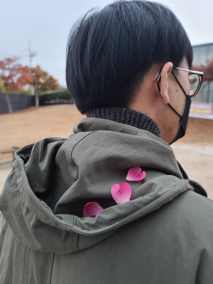 산책기록 11월 2주 산책기록 11월 2주