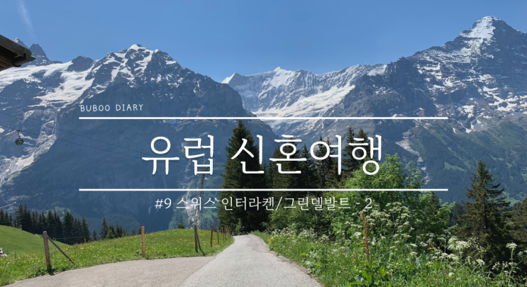  유럽 신혼여행#9 스위스 그린델발트 거점으로 알프스산맥 기차여행 만끽하기! 2일차(묀리헨, 피르스트 액티비티, 융프라우요흐, 클라이네샤이덱)
