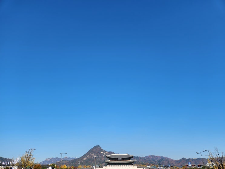  부동산 공동매수인 중 일방이 타 매수인에게 자신도 같은 값으로 매수하는 것인 양 말하여 비싼 값으로 매수하게 한 뒤 그 차액을 분배받은 행위, 사기에 해당