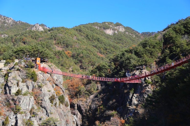  거창 Y자형 출렁다리, 거창 항노화힐링랜드 숲놀이터, 주차료/입장료/등산코스