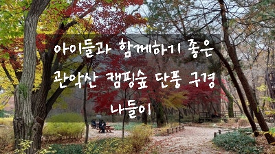  [주간일기 챌린지 11월 2주 차] 가을 주말 아이와 나들이하기 좋은 관악산 모험 숲 캠핑장 단풍 구경 다녀오기