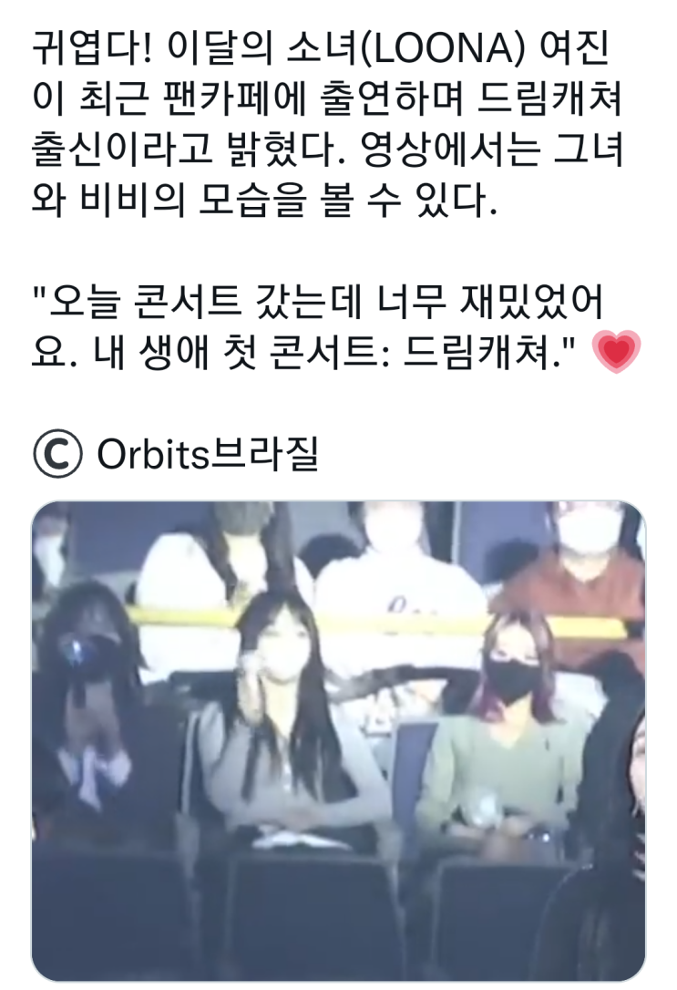  타돌 콘서트 갔는데 우리 팬 봤다 해명해.jpg