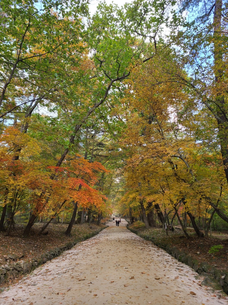  [경제 금융 용어 700선](671-680)환전영업자,환차손,환차익,황금낙하산,회사채,회수의문,후방연쇄효과,후순위금융채,후행종합지수,beyond GDP,BIS자기자본비율