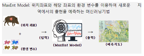 국립공원공단, 야생멧돼지 폐사체 찾는 예측지도 개발_환경부 국립공원공단, 야생멧돼지 폐사체 찾는 예측지도 개발_환경부