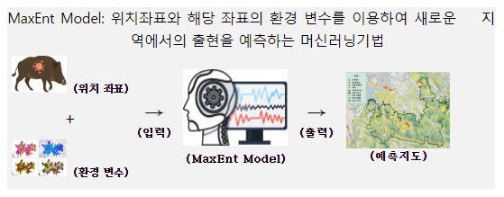 국립공원공단, 야생멧돼지 폐사체 찾는 예측지도 개발_환경부