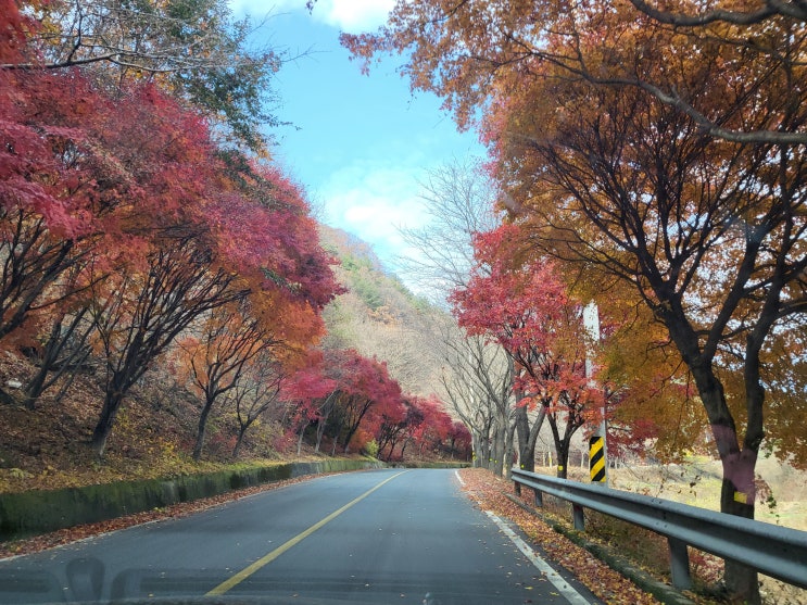  여행 예천 필수코스 <용문사>에 대한 기록
