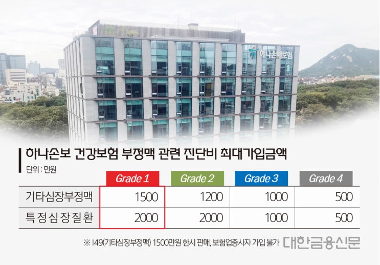 손해볼 걸 알면서 너도 나도 뛰어든 '부정맥보험' 손해볼 걸 알면서 너도 나도 뛰어든 '부정맥보험'