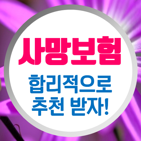  마음에 드는 비용으로 사망보험추천 받아보자!