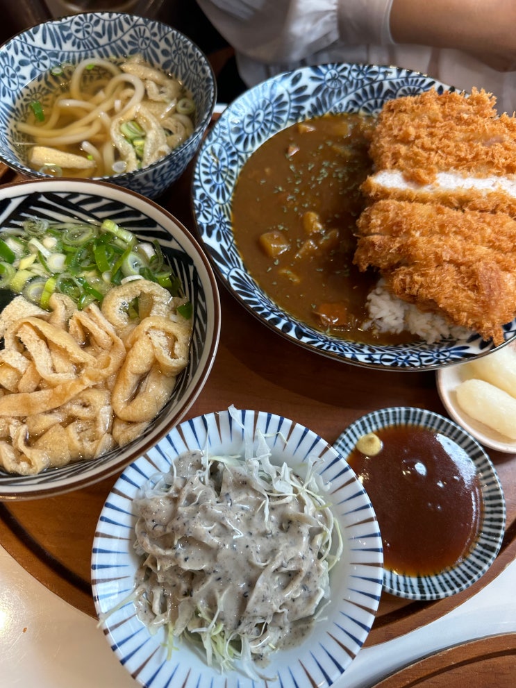 대전법원 맛집 / 시청맛집 : 둔산동 백소정, 혼밥도 좋아요