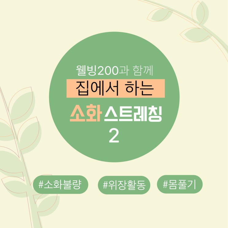  집에서 하는 소화 스트레칭 2