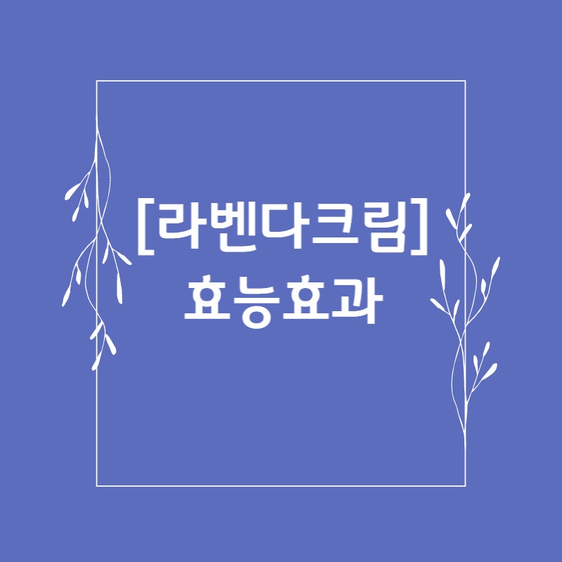 라벤다크림 효능효과 질염,무좀 : 네이버 블로그