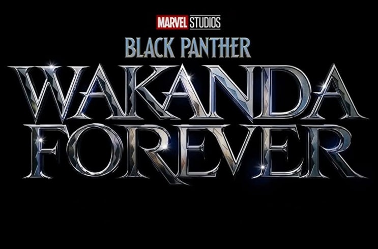  영화 <블랙팬서 와칸다 포에버 (Black Panther: Wakanda Forever, 2022)>에 대한 기록