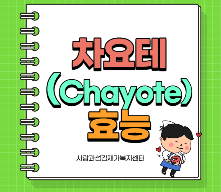 차요테 효능 치매 예방 다이어트에 좋은 음식 먹는법 부작용 주의 차요테 효능 치매 예방 다이어트에 좋은 음식 먹는법 부작용 주의