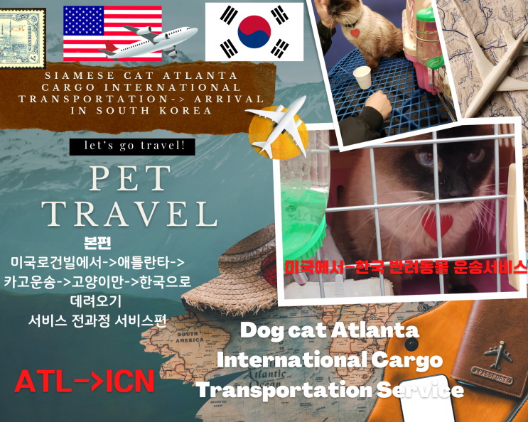  강아지 고양이 대형견 단두종 반려동물 반려견 애견 애묘 혼자 해외 보내기 국제 검역 운송 출국 입국 서류
