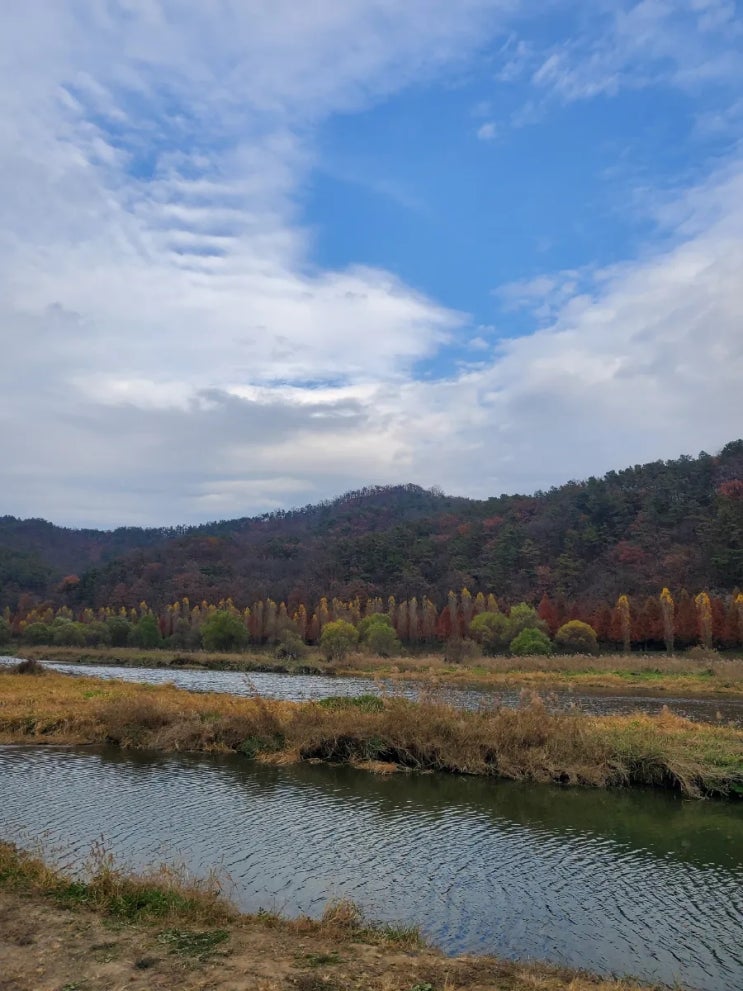  진천 여행. 내가 진천을 즐기는 방법(2) 농다리.왕천파닭.한반도지형,선촌서당. 하루가 후다닥 지나갈 수 있는 여행 코스