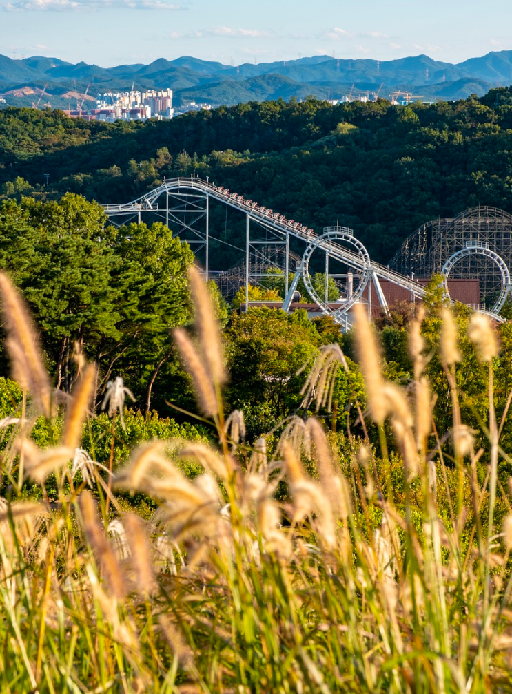 용인 에버랜드 자유이용권 교복대여 저렴하게 kkday 쿠폰 국내 해외여행 5% 할인
