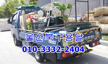 울산북구용달 울릉도 제주도 용달 운송. 울산북구용달 울릉도 제주도 용달 운송.
