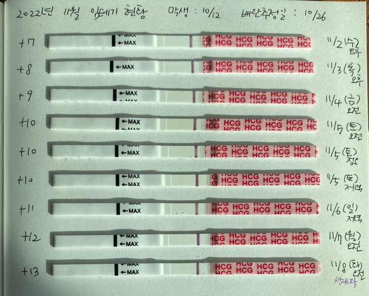  #02 40대 당뇨 자연임신 도전기_화유 후 바로 재도전한 결과는...?!