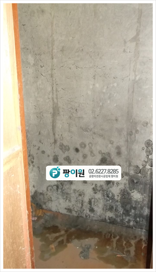  오피스텔 원룸 곰팡이제거 후 포자균 살균까지 해결!