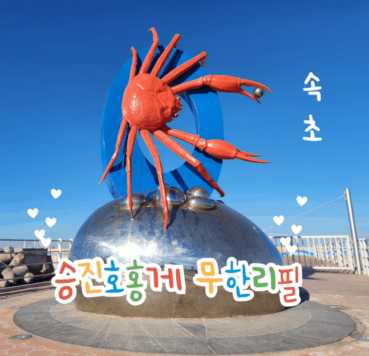  대게맛을 몰라서 속초 홍게 맛집 승진호 홍게 무한리필로