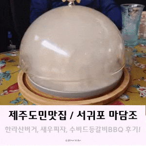 제주도민맛집, 서귀포식당 마담조 가족식사 후기 제주도민맛집, 서귀포식당 마담조 가족식사 후기