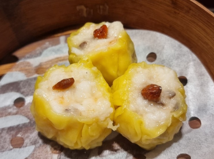  [잠실] 팀호완 (22.09)