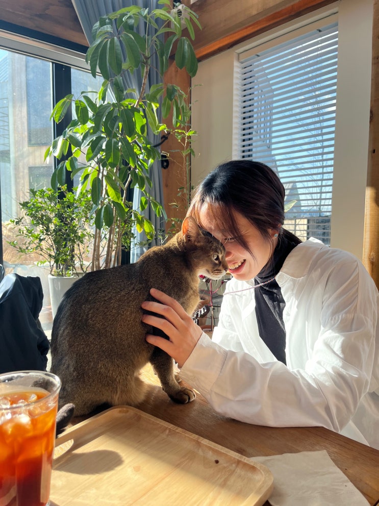  [파주 카페] 파주 천천히 카페