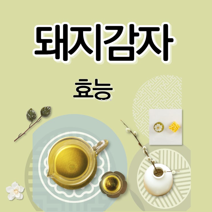  돼지감자 수확 시기 돼지감자 효능 알고 먹어요