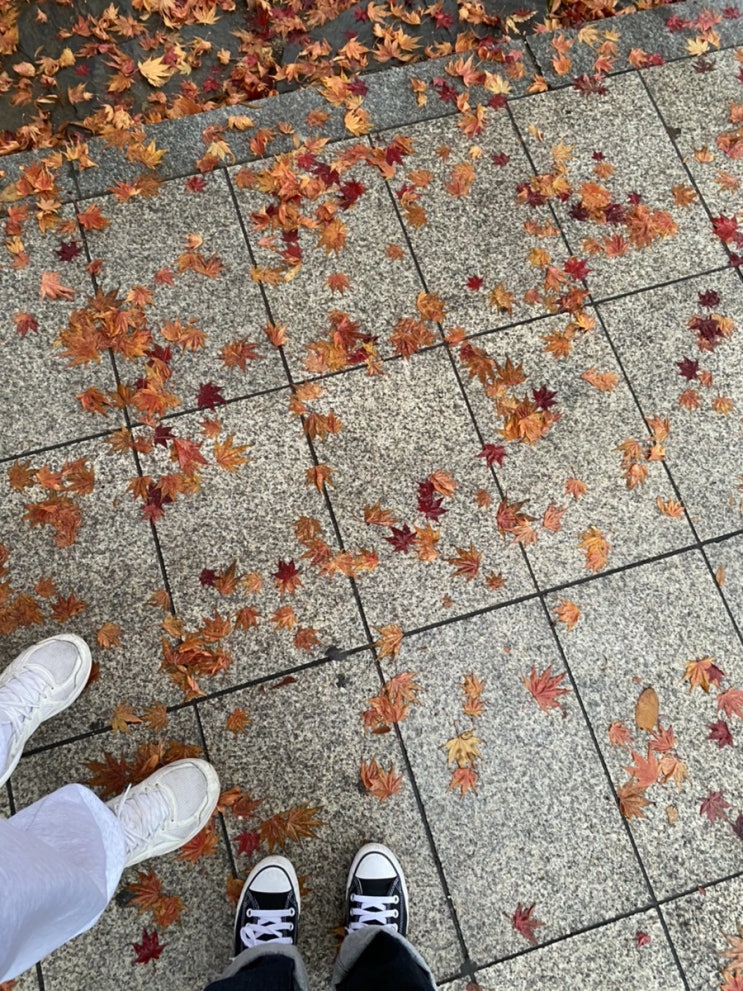  가을의 끝자락 (블챌당첨기원)